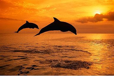 PSVR2刀剑动作游戏《虎刃》推迟发行