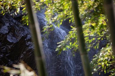 面对《GTA6》《无主之地4》的竞争 EA称新《战地》不排除会跳票